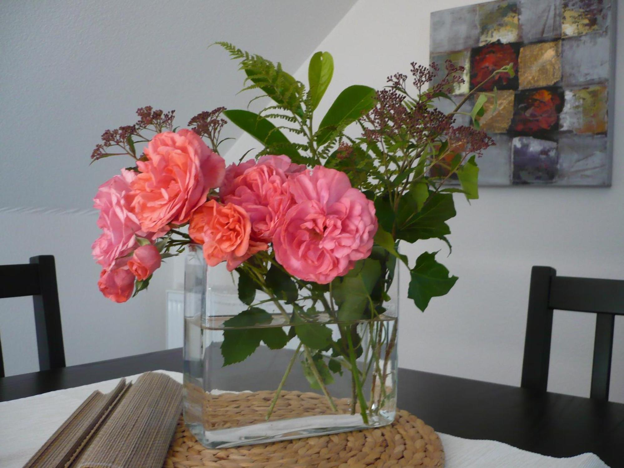 Meindl Appartement *